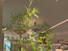 -绿茶餐厅(淮安吾悦广场店)