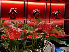 -香辣会·老牌川菜(骏豪店)