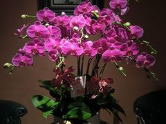 -霖公馆SPA·足道(普善路店)
