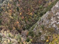 -叠溪松坪沟景区