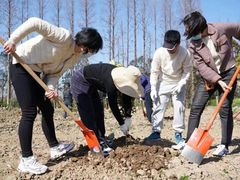 -上海长兴岛郊野公园