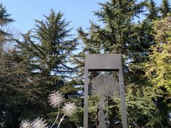 -大雁塔北广场音乐喷泉