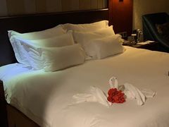 -衢州大花园国际酒店