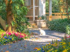 -广州市白云山风景名胜区