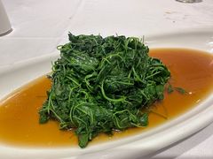 -天福苑(崇宁路店)