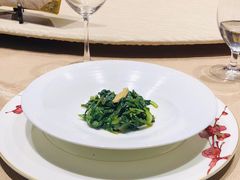 -诺莱仕游艇会