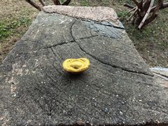 -杭州野生动物世界