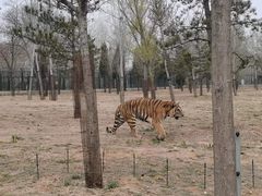 -秦皇岛野生动物园
