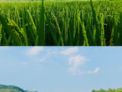 -南泥湾风景区