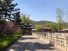 -晋祠公园