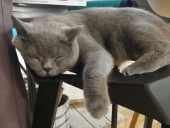 -壹人壹像工作室(购物公园店)