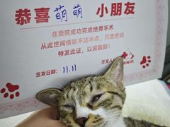-御宝贝24h宠物医院·转诊中心·CT核磁血透中心(厦门总院)