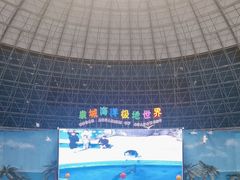 -泉城欧乐堡海洋极地世界