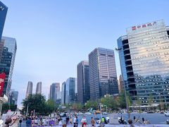 -合景·悠方(成都店)