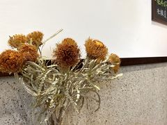 -肥朵食堂(带梦胡同店)