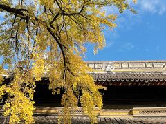 -西园戒幢律寺