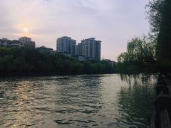 -运河游船(武林门码头)