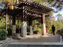 -四望岗公园