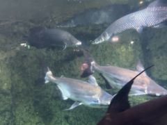 -南昌海洋公园