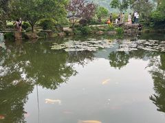 -中国茶叶博物馆(双峰馆区)