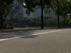 -荔香公园