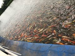 -北戴河圣蓝海洋公园
