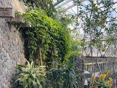 -北京植物园-展览温室