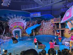 -烟台海昌鲸鲨海洋公园