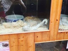 -上海大自然野生昆虫馆