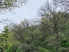 -沂蒙山旅游区云蒙景区(蒙山国家森林公园)