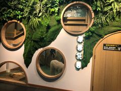 -藦茜花园宠物主题亲子互动体验馆(国顺东路店)