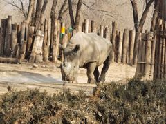 -北京野生动物园