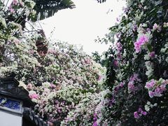 -深圳国际园林花卉博览园