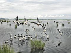 -花湖生态旅游区