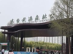 -黄海国家森林公园