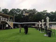 -名驭国际马术学院