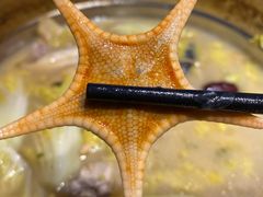 -千岛蚝高压锅生蚝·人参火锅(白云万达店)