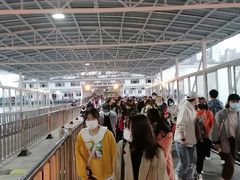 -武汉关码头(轮渡站)