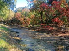 -长白岛森林公园