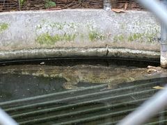 -呀路古热带植物园