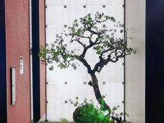 -湘上湘(米其林餐厅-正大中心总店)