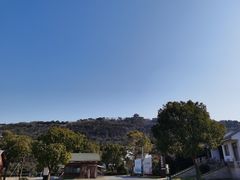 -呼吸森林·生态农庄农家乐私房菜