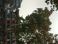 -天下第一面(大雁塔北广场店)