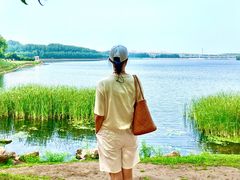-丁香湖公园