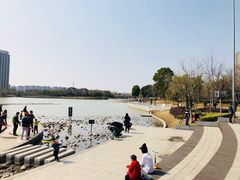 -南翔镇银翔湖公园