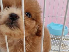 -心乐生活新鲜屋(星海广场店)