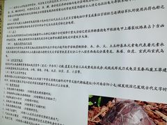 -千年银杏谷文化旅游区
