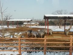 -西安秦岭野生动物园