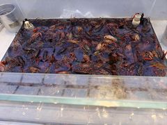 -集品鲜湾·蒸汽海鲜自助料理(青岛银座和谐广场店)