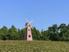 -同里国家湿地公园